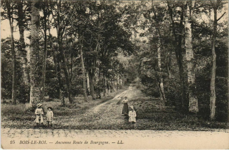 Carte postale ancienne Bois le Roi Ancienne Route de Bourgogne France à Bois-le-Roi