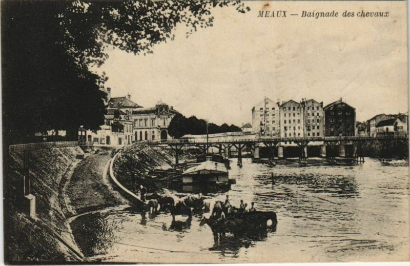 Carte postale ancienne Meaux Baignade des chevaux France à Meaux