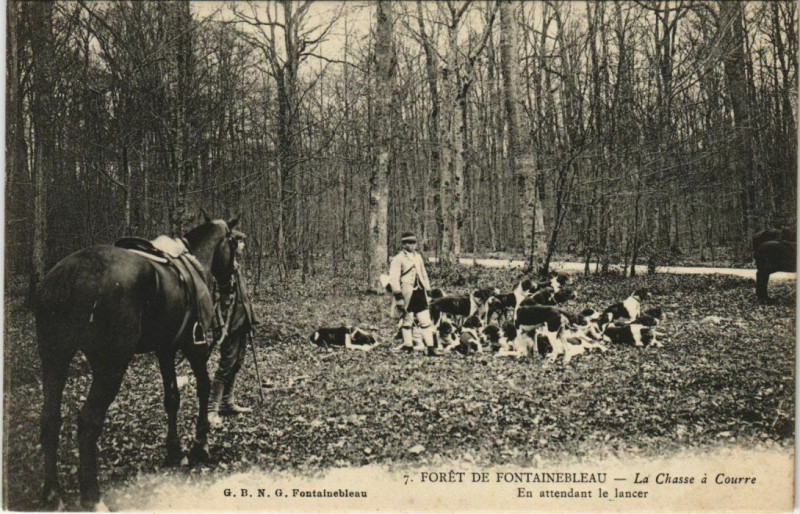 Carte postale ancienne Fontainebleau La Chasse a Courre France à Fontainebleau