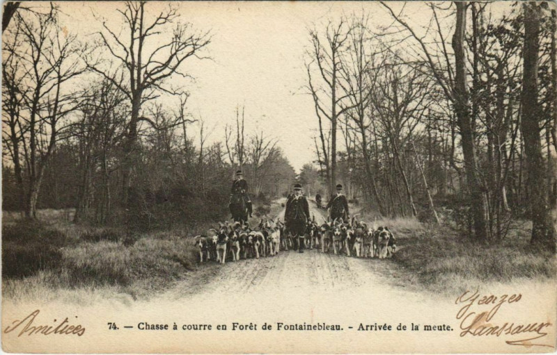Carte postale ancienne Fontainebleau Arrivee de la meute France à Fontainebleau