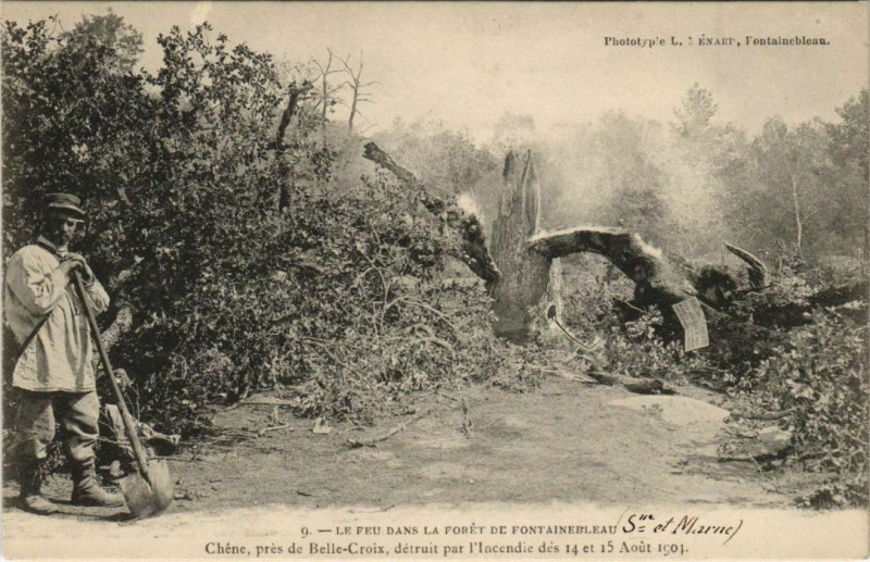 Carte postale ancienne Fontainebleau Le Feu dans la Foret France à Fontainebleau