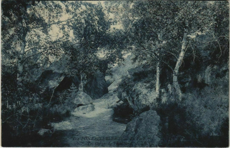 Carte postale ancienne Fontainebleau Les Gorges de Franchard France à Fontainebleau