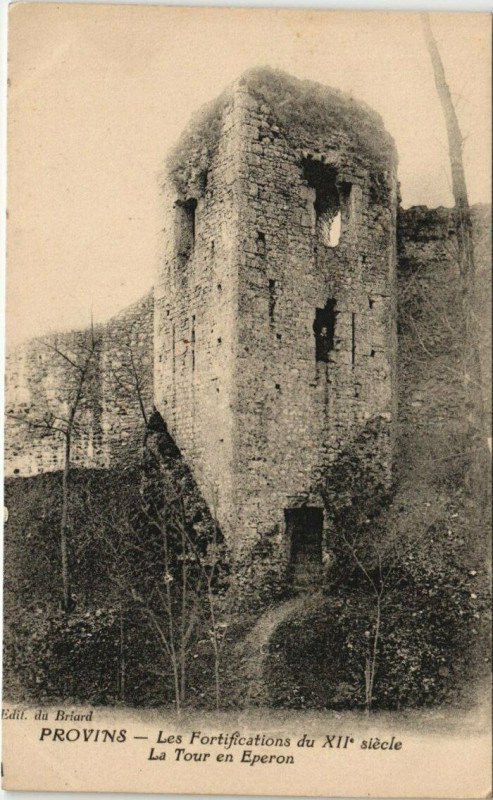 Carte postale ancienne Provins - Les Fortifications du La Tour en Eperon à Provins