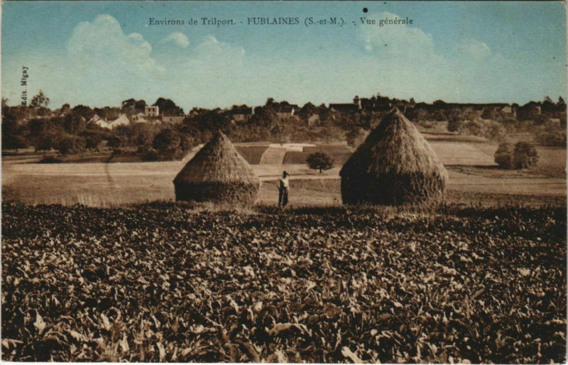 Carte postale ancienne Env. de Trilport - Fublaines - Vue générale à Trilport