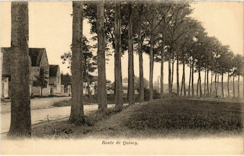Carte postale ancienne Route de Quincy 