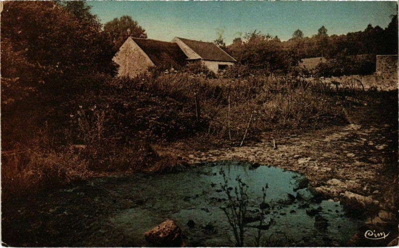 Carte postale ancienne Hondevilliers - Elevage de Canards  à Hondevilliers