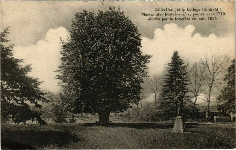 Carte postale ancienne Juilly - College - Marronniers Malebranche - Plante vers 1710  à Juilly
