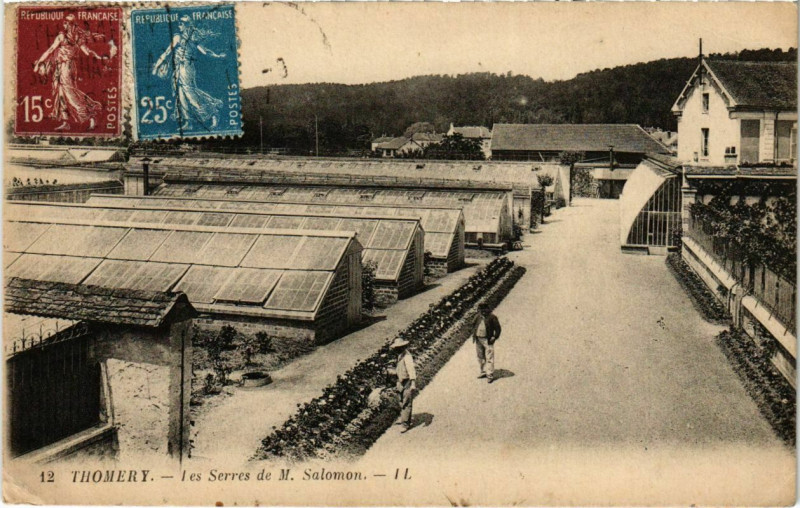 Carte postale ancienne Thomery - Les Serres de M. Salomon  à Thomery