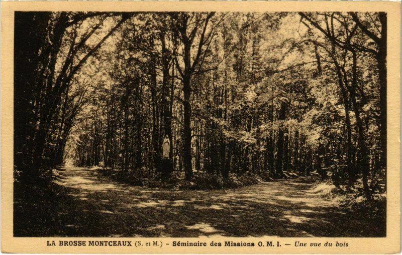 Carte postale ancienne La Brosse-Montceaux - Seminaires des Missions - Une Vue du Bois  à La Brosse-Montceaux