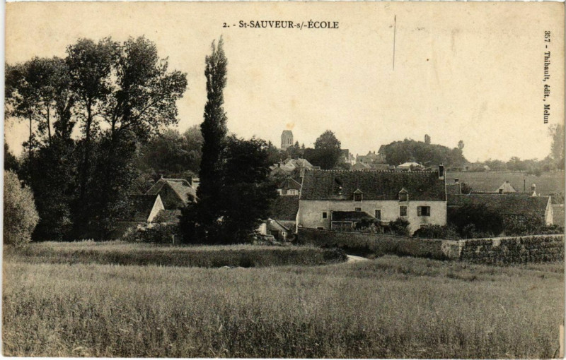 Carte postale ancienne Saint-Sauveur-sur-Ecole - Vue - View  à Saint-Sauveur-sur-École
