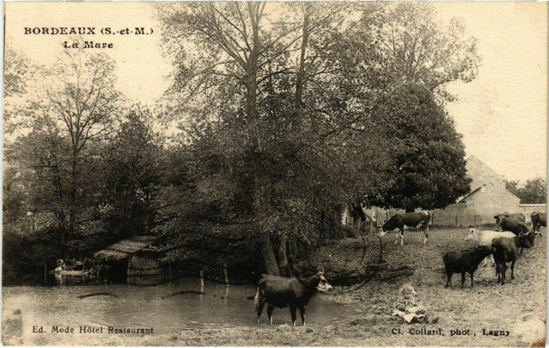 Carte postale ancienne Bordeaux - La Mare 