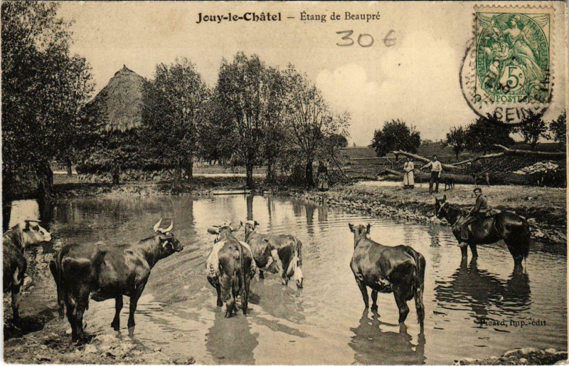 Carte postale ancienne Jouy-le-Chatel Etang de Beaupré à Jouy-le-Châtel