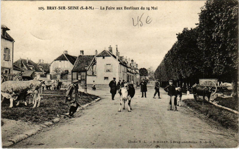 Carte postale ancienne Bray-sur-Seine La Foire aux Bestiaux à Bray-sur-Seine
