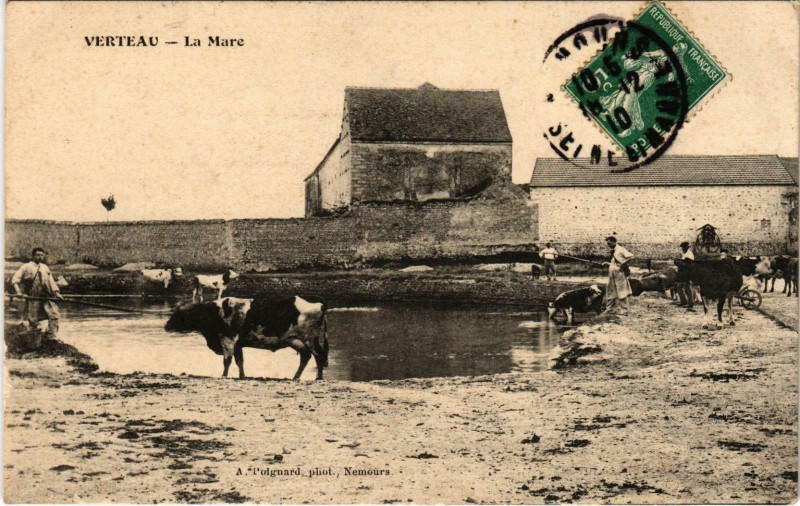 Carte postale ancienne Verteau La Mare