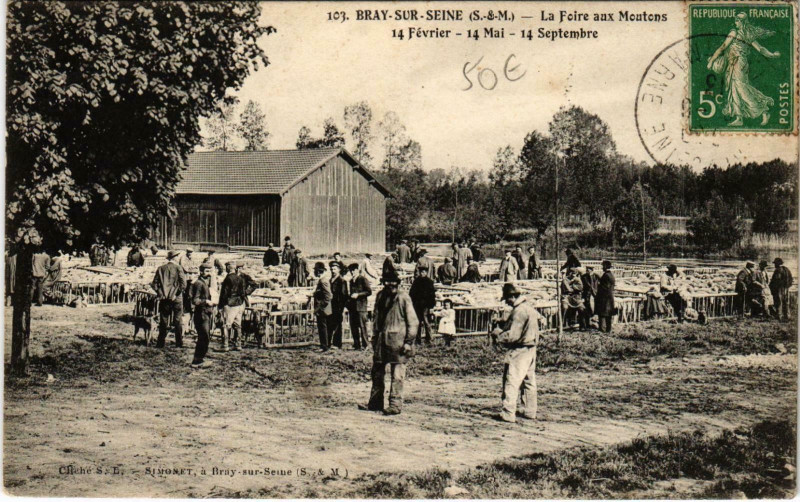 Carte postale ancienne Bray-sur-Seine La Foire aux Moutons à Bray-sur-Seine