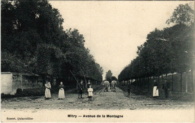 Carte postale ancienne Mirty Avenue de la Montagne