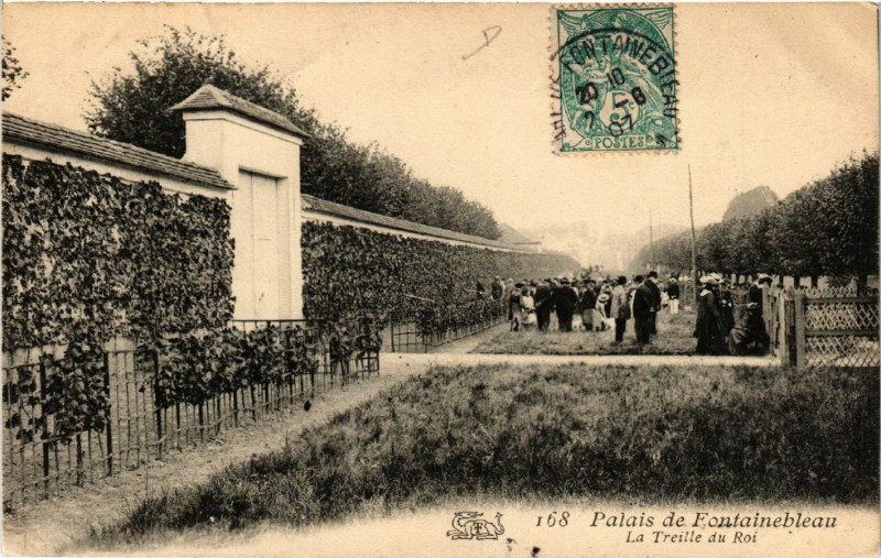 Carte postale ancienne Palais de Fontainebleau - La Treille du Roi à Fontainebleau