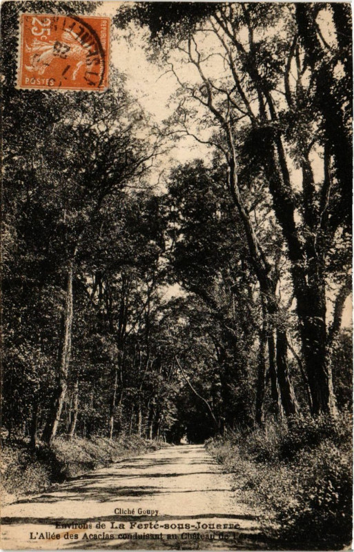 Carte postale ancienne Env. de La Ferte sous Jouarre - L'Allée des Acacias conduisant à Jouarre