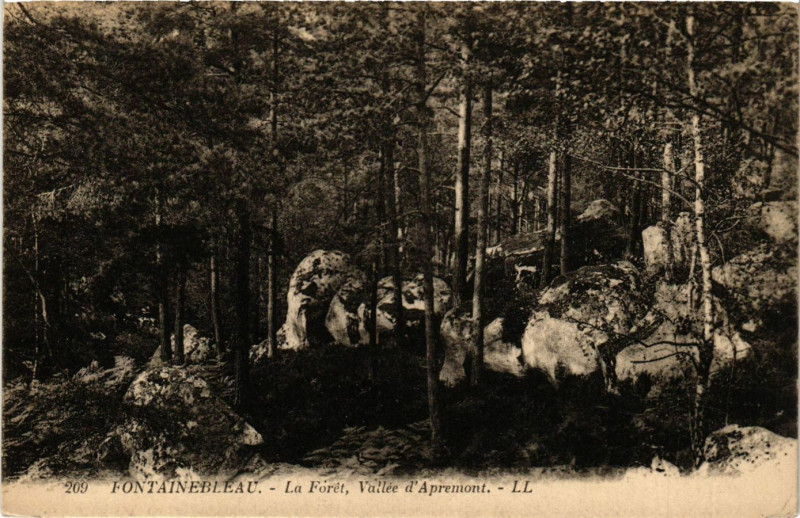 Carte postale ancienne Fontainebleau - La Foret Vallée d'Apremont à Fontainebleau