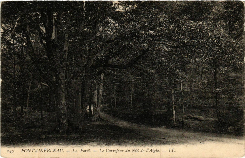 Carte postale ancienne Fontainebleau - La Foret - Le Carrefour du Nid de l'Aigle à Fontainebleau