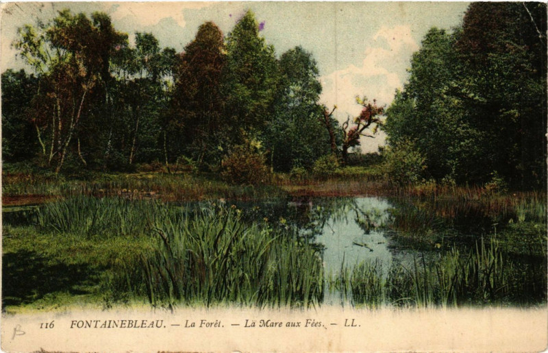 Carte postale ancienne Fontainebleau - La Foret - La Mare aux Fées à Fontainebleau