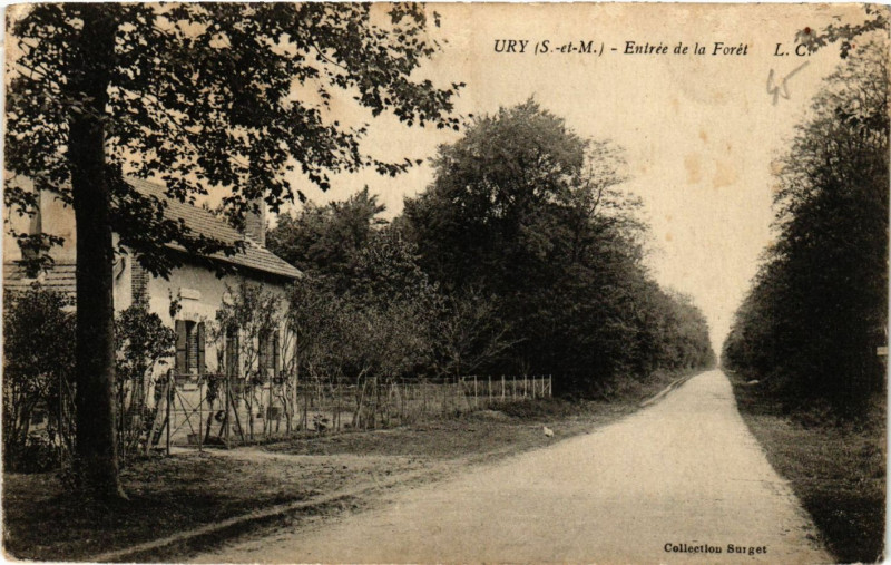 Carte postale ancienne Ury - Entrée de la Foret à Ury