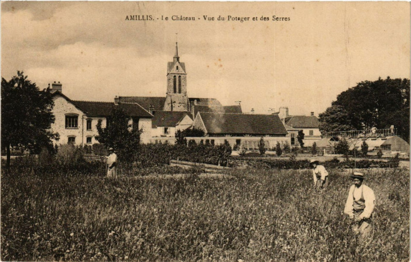 Carte postale ancienne Amillis - Le Chateau - Vue du Potager et des Serres à Amillis