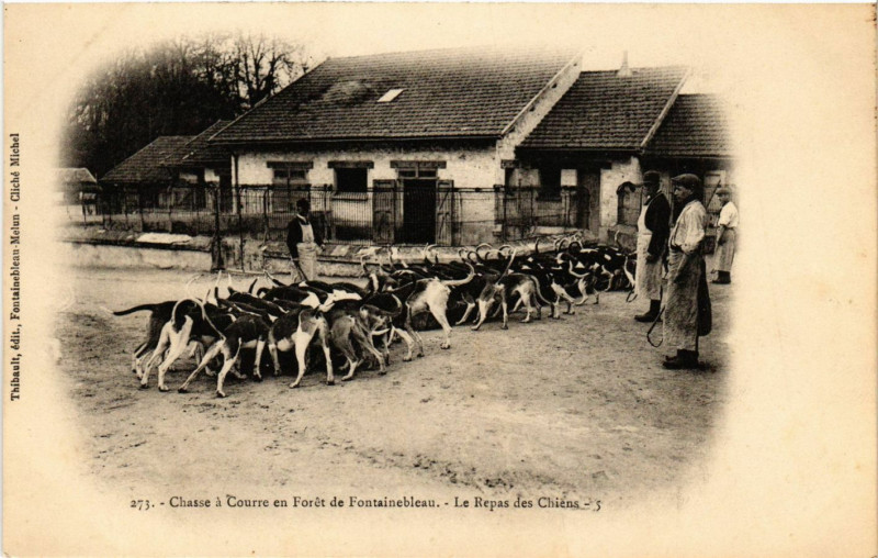 Carte postale ancienne Chasse a courre en Foret de Fontainebleau - Le Repas des Chiens à Fontainebleau