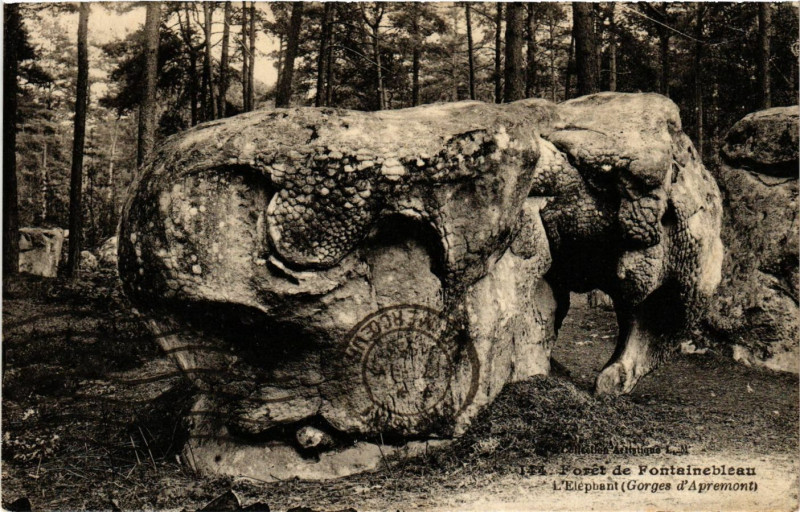 Carte postale ancienne Foret de Fontainebleau - L'Elephant (Gorges d'Apremont) à Fontainebleau