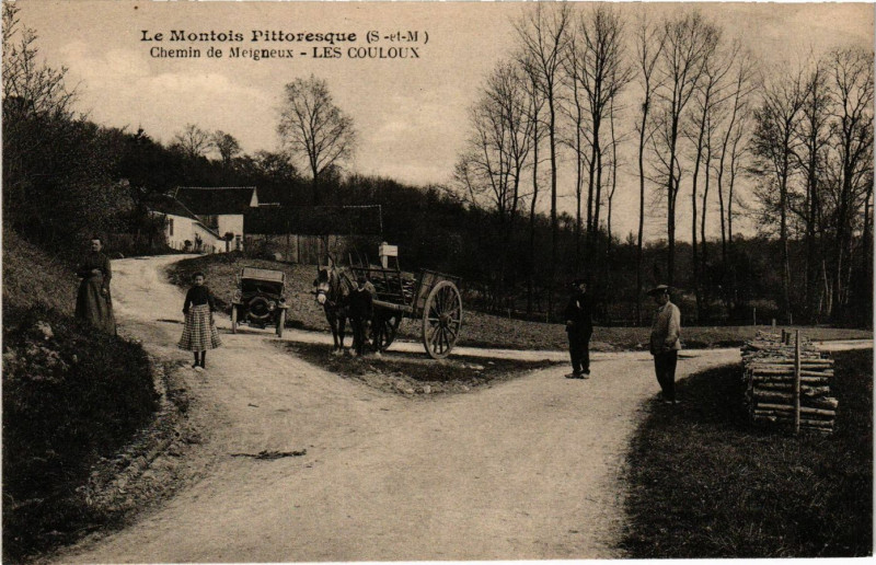 Carte postale ancienne Le Montois Pitt. - Chemin de Meigneux - Les Couloux à Meigneux