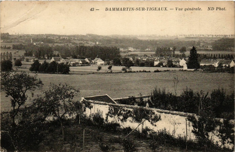 Carte postale ancienne Damartin-sur-Tigeaux - Vue générale à Tigeaux