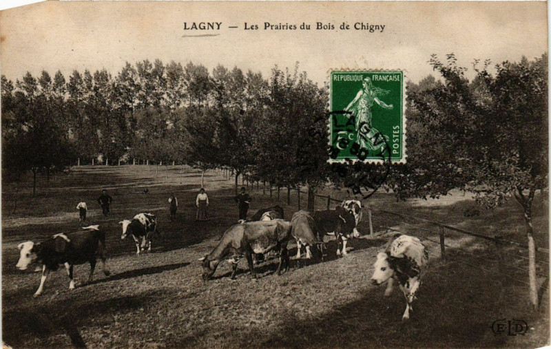 Carte postale ancienne Lagny - Les Prairies du Bois de Chigny