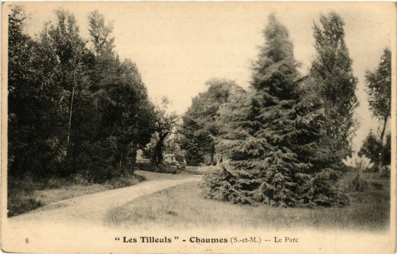 Carte postale ancienne Les Tilleuls - Chaumes - Le Parc