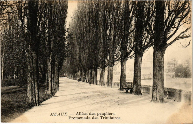 Carte postale ancienne Meaux - Allées des peupliers Promenade des Trinitaires à Meaux