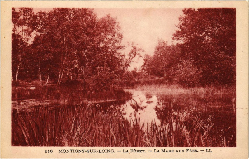 Carte postale ancienne Montigny-sur-Loing - La Foret - La Mare aux Fées à Montigny-sur-Loing