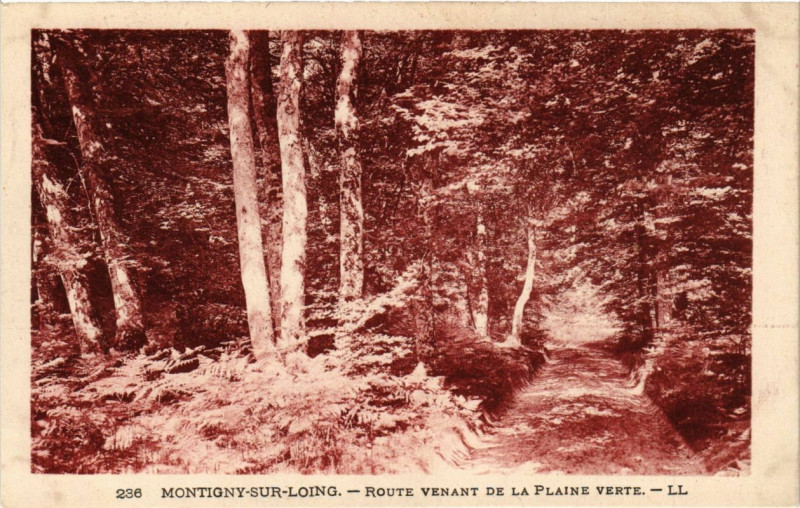 Carte postale ancienne Montigny-sur-Loing - Route Venant de la Plaine Verte à Montigny-sur-Loing