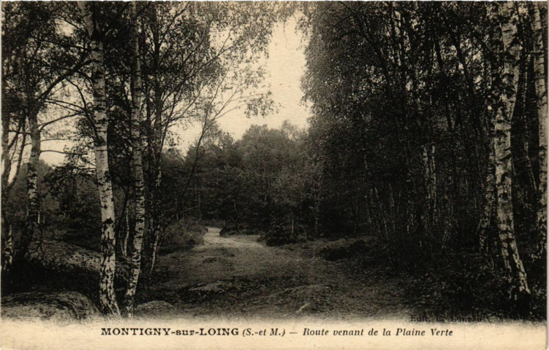 Carte postale ancienne Montigny-sur-Loing - Route venant de la Plaine Verte à Montigny-sur-Loing