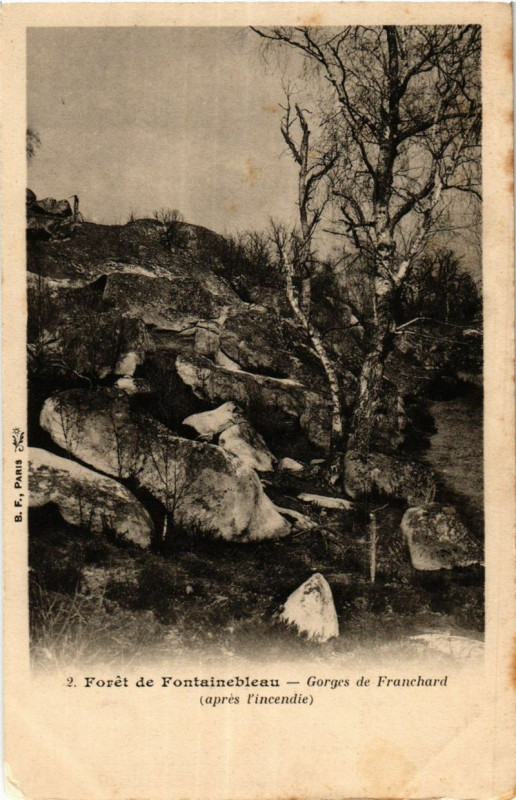 Carte postale ancienne Foret de Fontainebleau - Gorges de Franchard (apres de l'incendie) à Fontainebleau