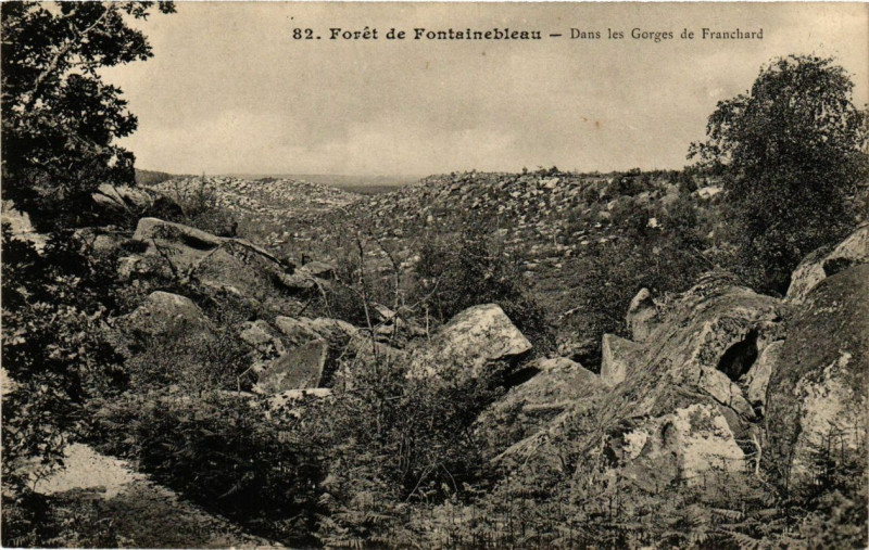 Carte postale ancienne Foret de Fontainebleau - Dans les Gorges de Franchard à Fontainebleau