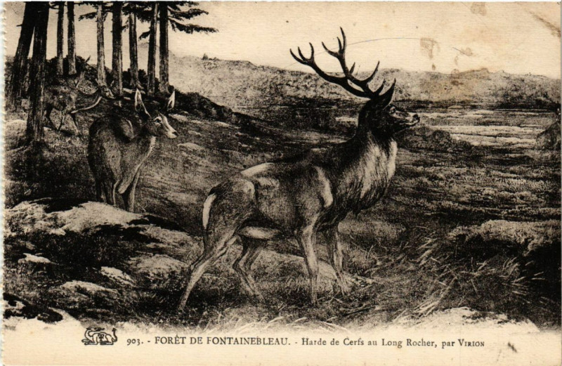 Carte postale ancienne Foret de Fontainebleau - Harde de Cerfs au Long Rochéer par Virion à Fontainebleau