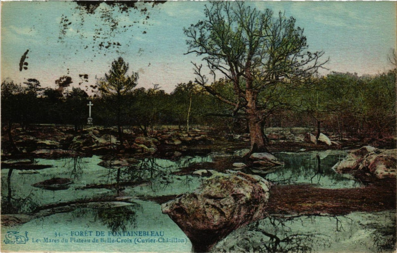 Carte postale ancienne Foret de Fontainebleau - Les Mares du Plateau de Belle-Croix à Fontainebleau