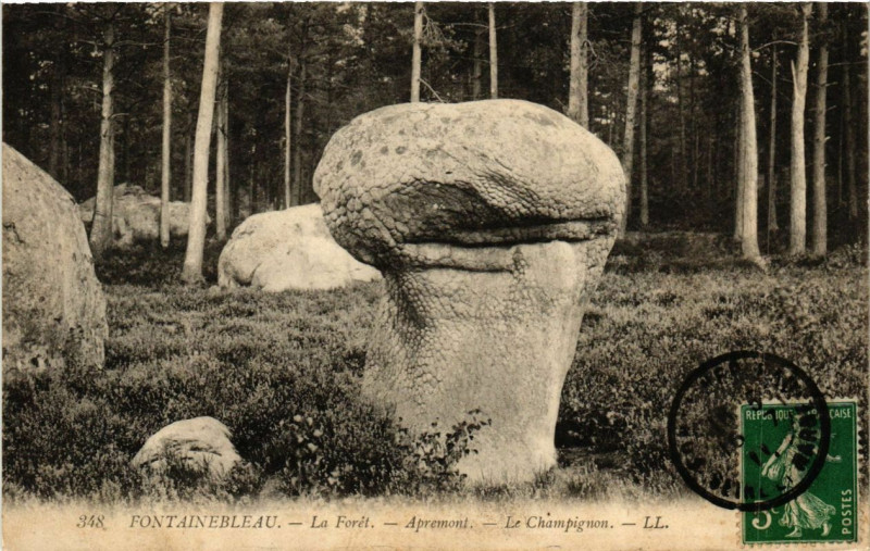 Carte postale ancienne Fontainebleau - La Foret - Apremont - Le Champignon à Fontainebleau