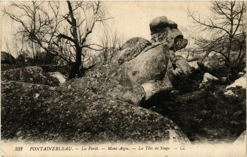 Carte postale ancienne Fontainebleau - La Foret - Mont-Aihu - La Tete de Singe à Fontainebleau