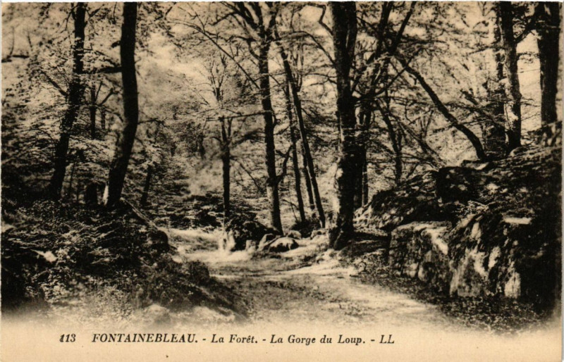 Carte postale ancienne Fontainebleau - La Foret - La Gorge du Loup à Fontainebleau