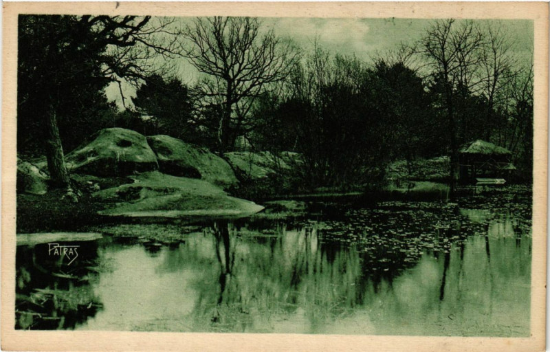 Carte postale ancienne Foret de Fontainebleau - La Mare aux Cannes à Fontainebleau
