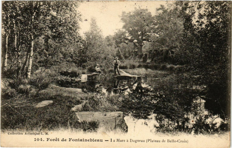 Carte postale ancienne Foret de Fontainebleau - La Mare a Dagneau à Fontainebleau