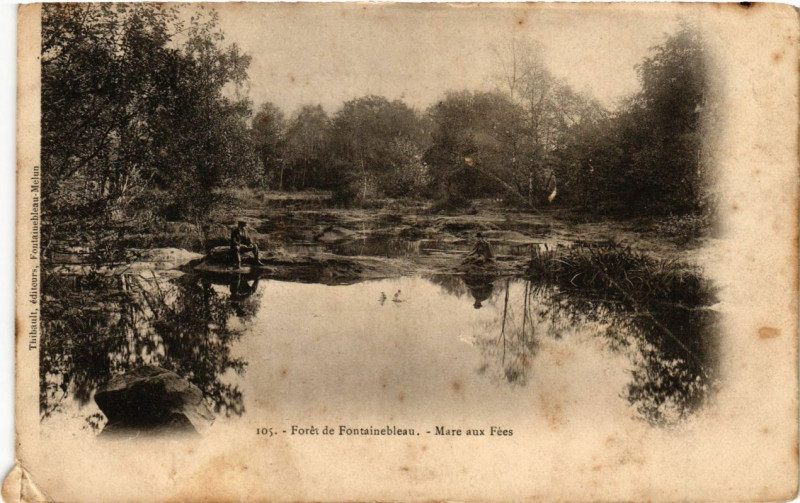 Carte postale ancienne Foret de Fontainebleau - Mare aux Fées à Fontainebleau