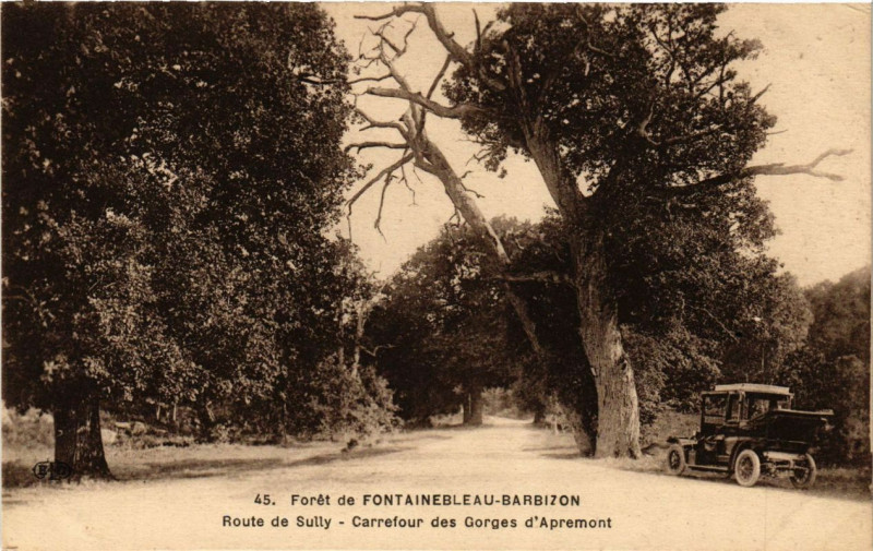 Carte postale ancienne Foret de Fontainebleau-Barbizon - Route de Sully à Barbizon
