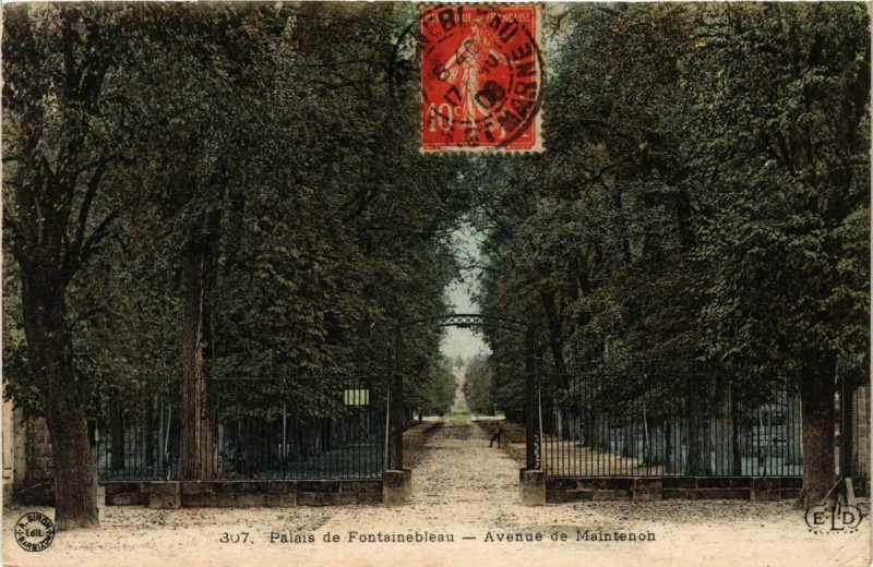 Carte postale ancienne Palais de Fontainebleau - Avenue de Maintenon à Fontainebleau