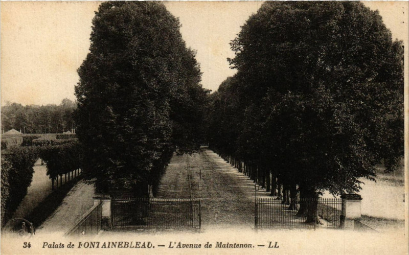 Carte postale ancienne Palais de Fontainebleau - L'Avenue de Maintenon à Fontainebleau